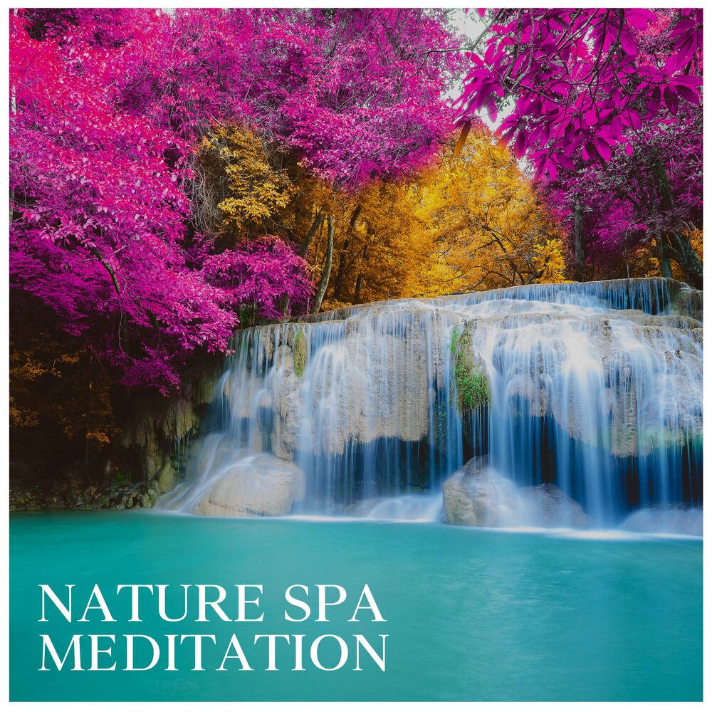 Picture of Nature Spa Meditation: Relaxing Spa Music Therapy for Stress Relief, Peaceful Atmosphere for Yoga and Relaxation