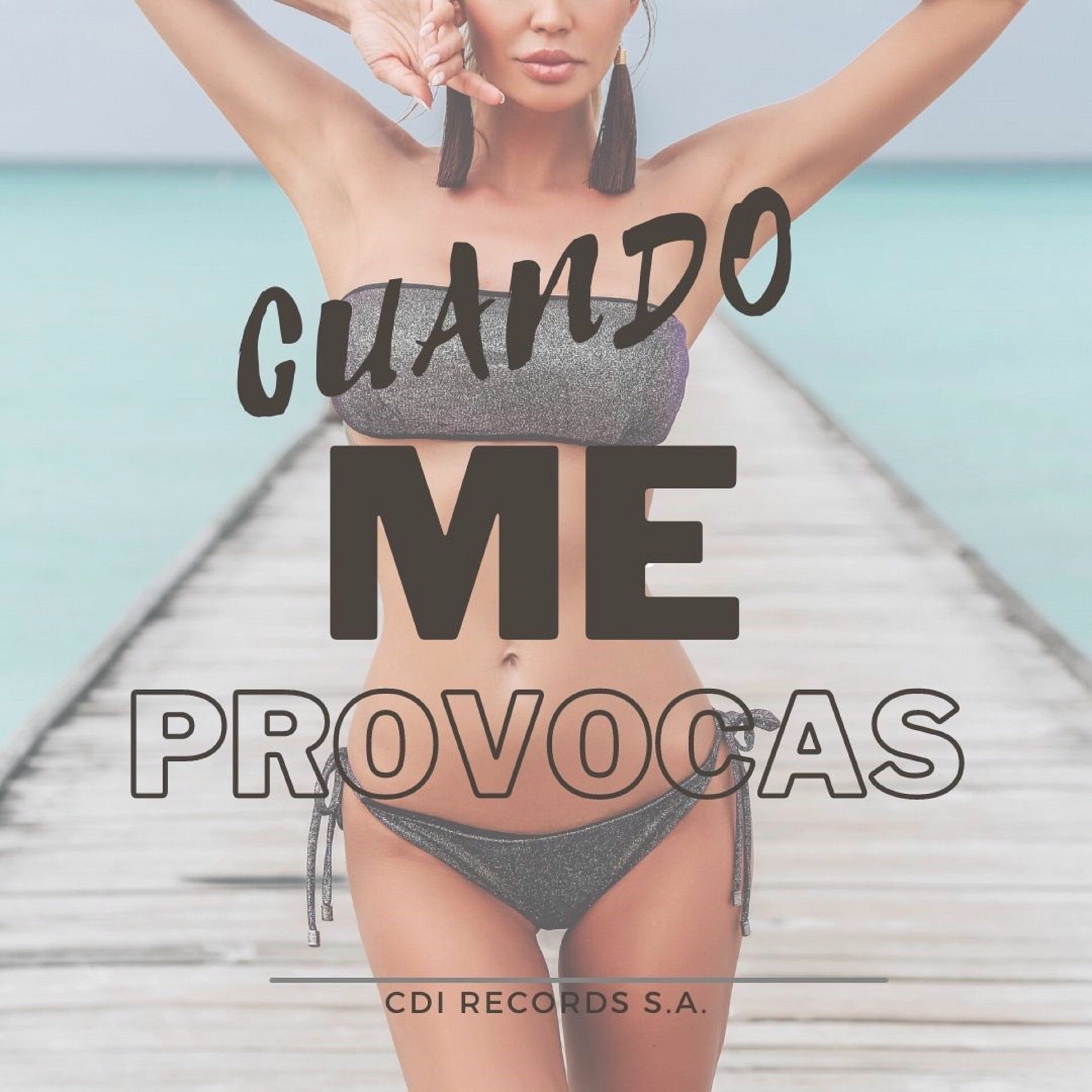 Album cover of Cuando me provocas