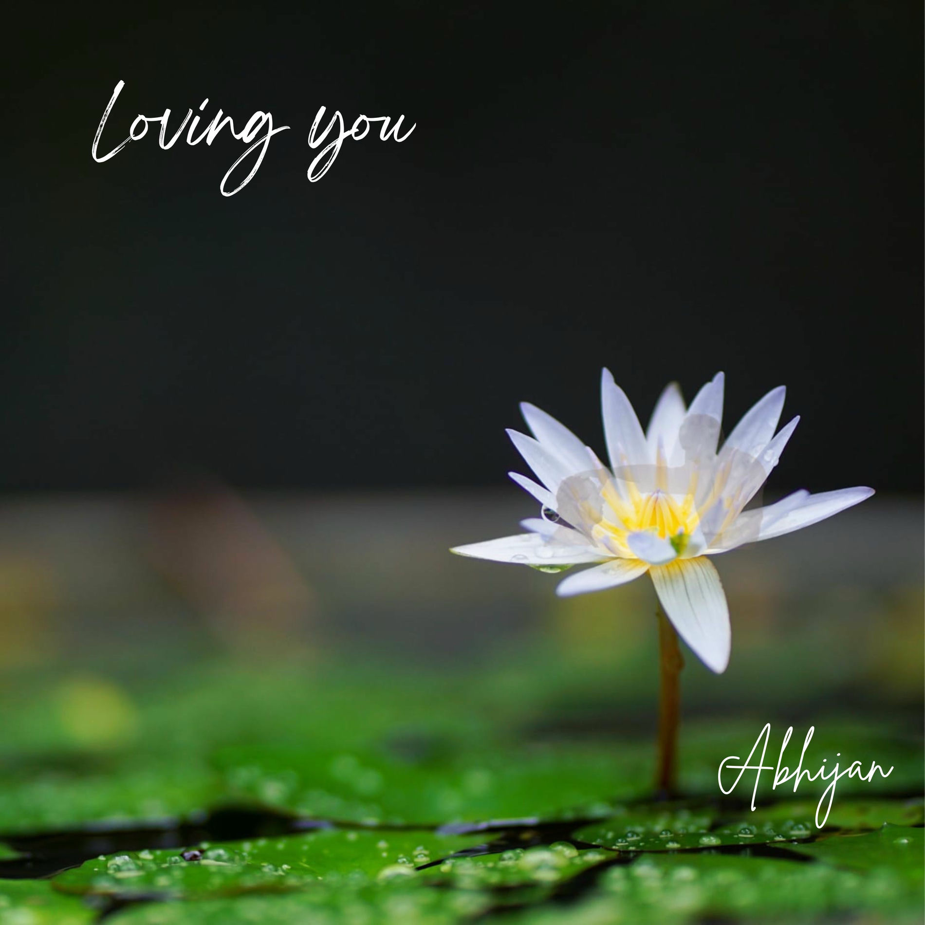 Album cover of Loving You