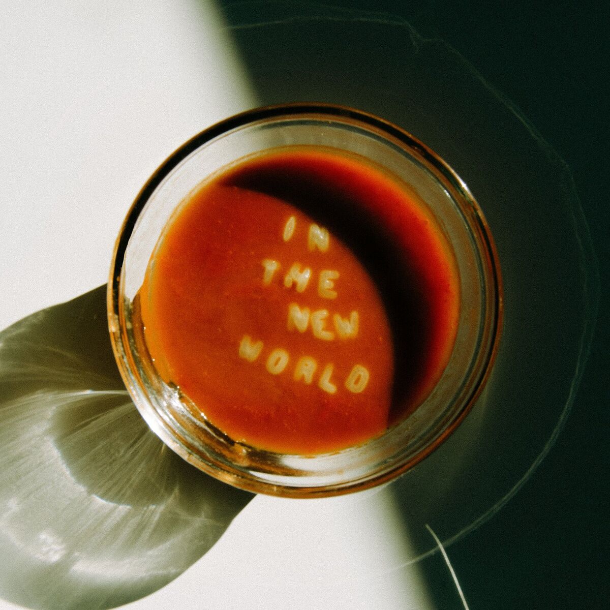 Album cover of In the New World