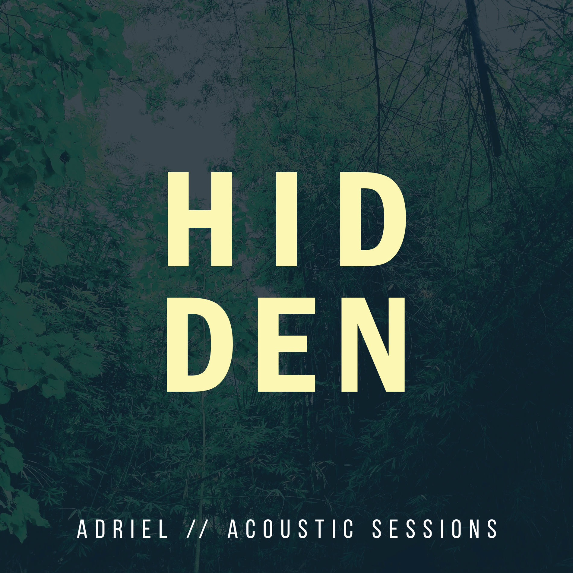 Album cover of Hidden (Acoustic Sessions)