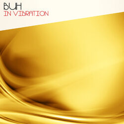Cover of In Vibration