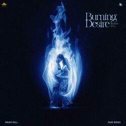 Cover of Burning Desires