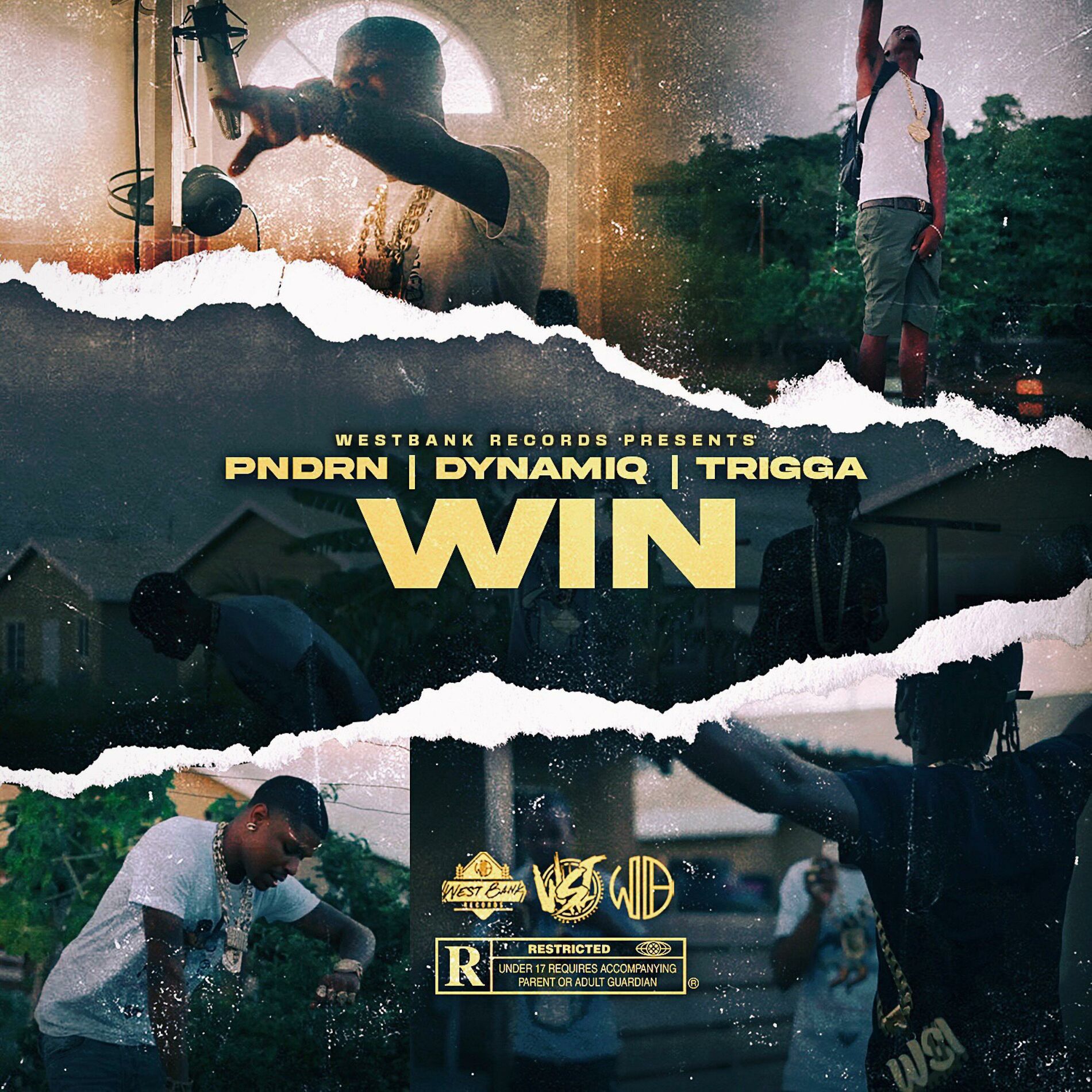 Album cover of WIN