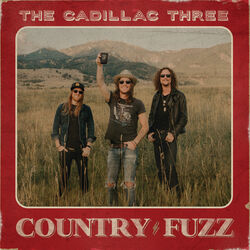 Cover of COUNTRY FUZZ