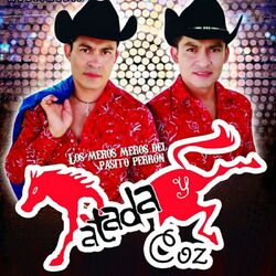 Cover of Los Meros Meros del Pasito Perron