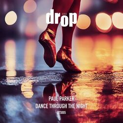 Cover of Dance Through the Night