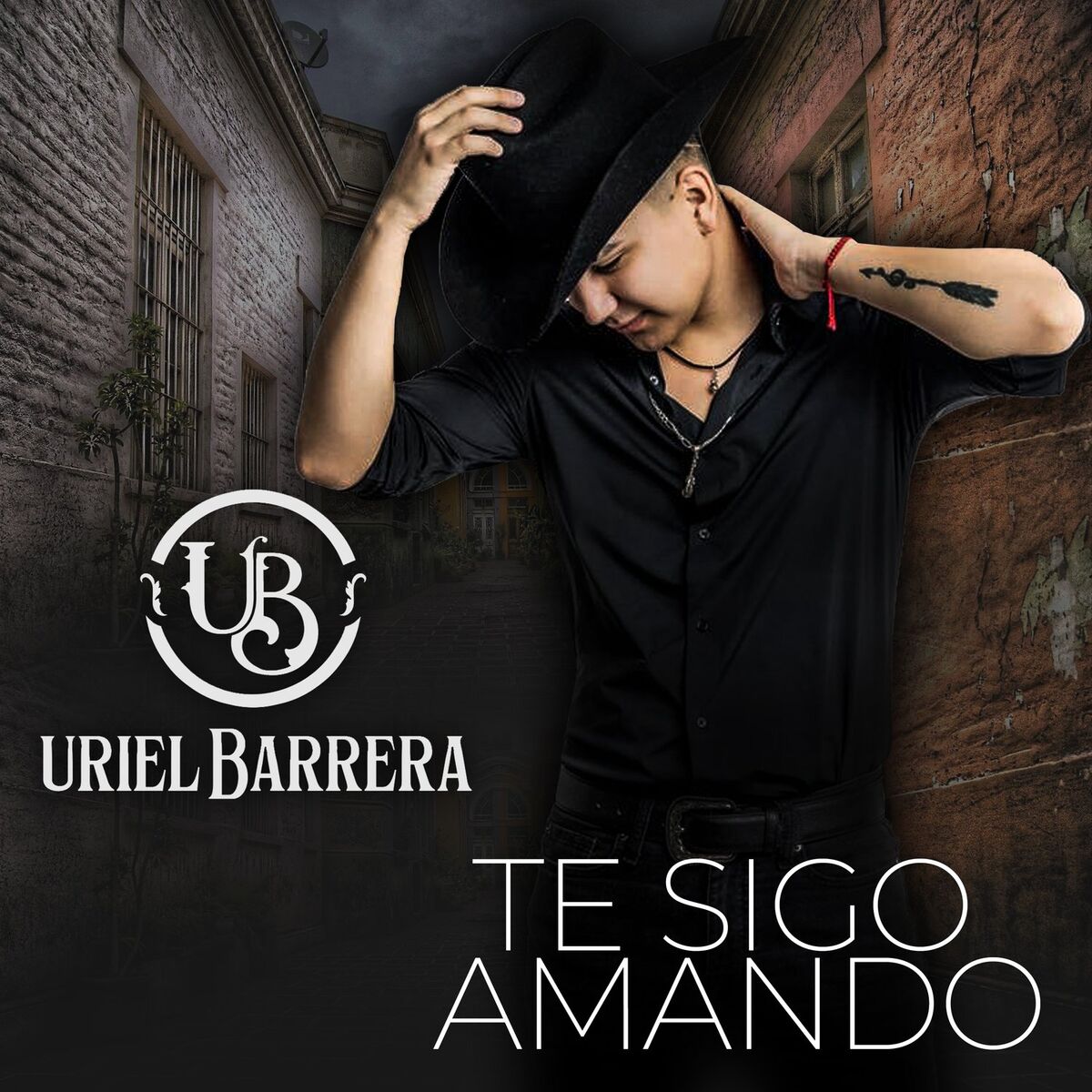 Album picture of Te Sigo Amando