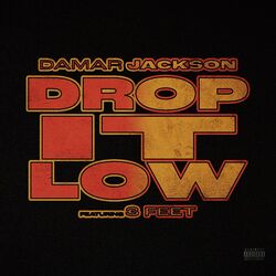 Cover of Drop It Low