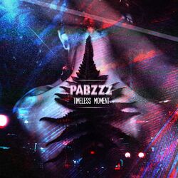 Cover of Timeless Moment