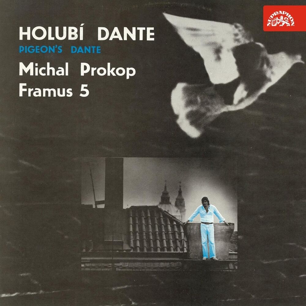 Picture of Holubí Dante