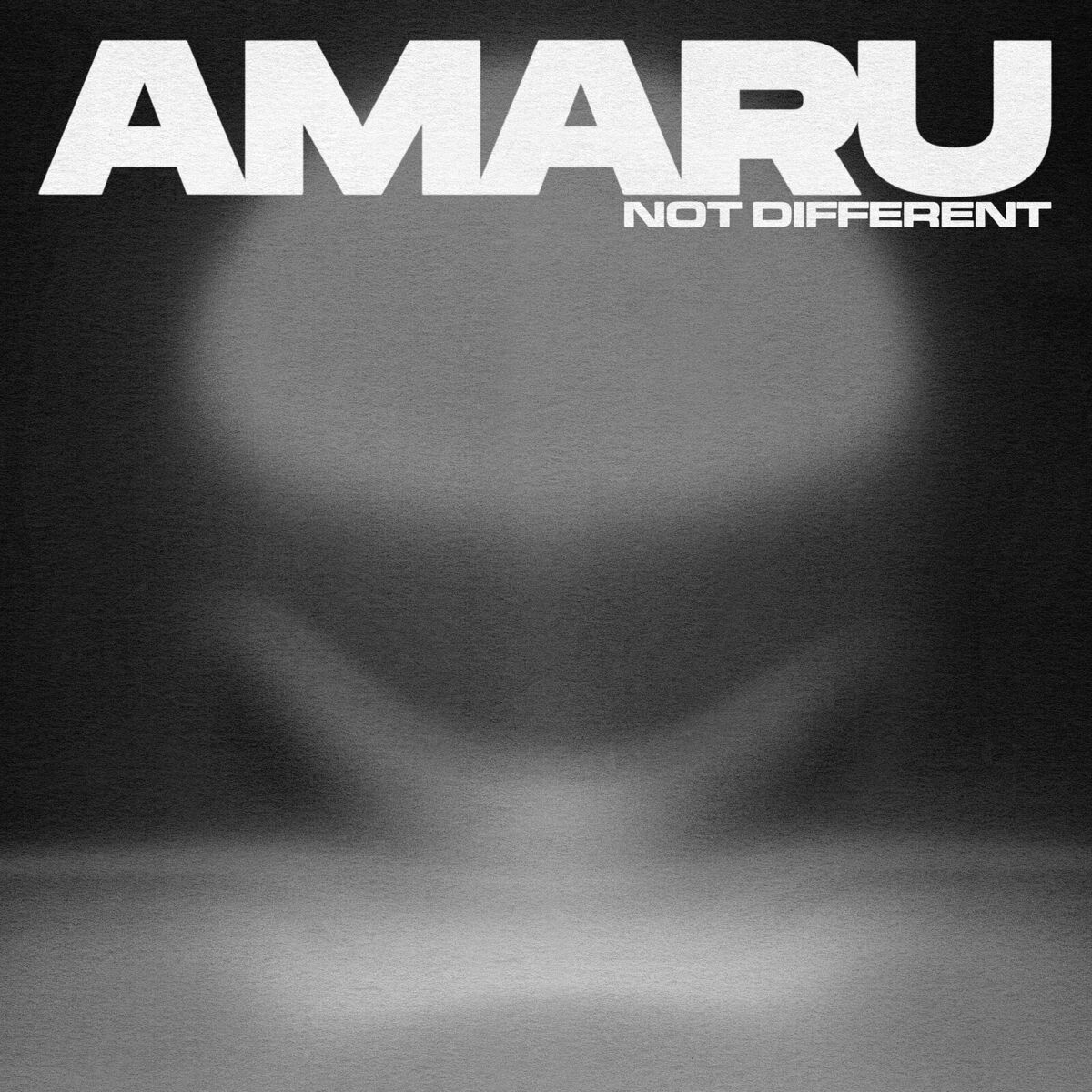 Album cover of Not Different