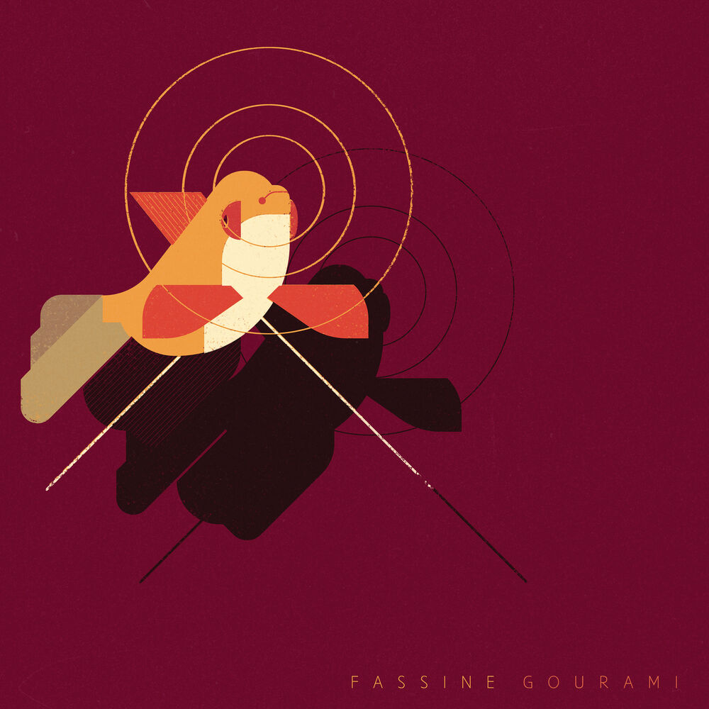 Picture of Gourami