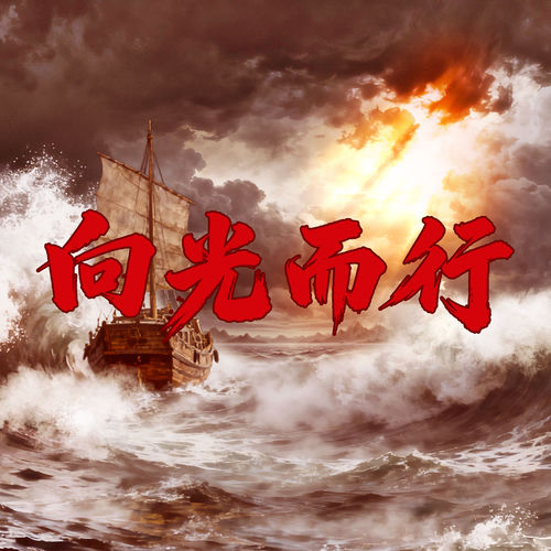 向光而行