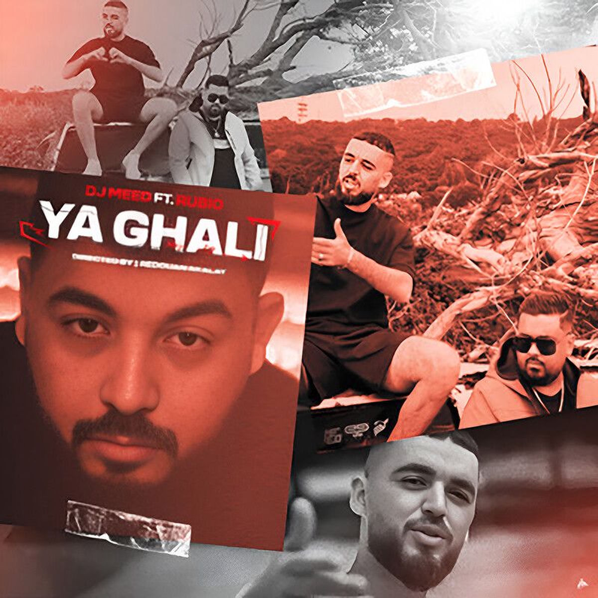 Album cover of Ya Ghali
