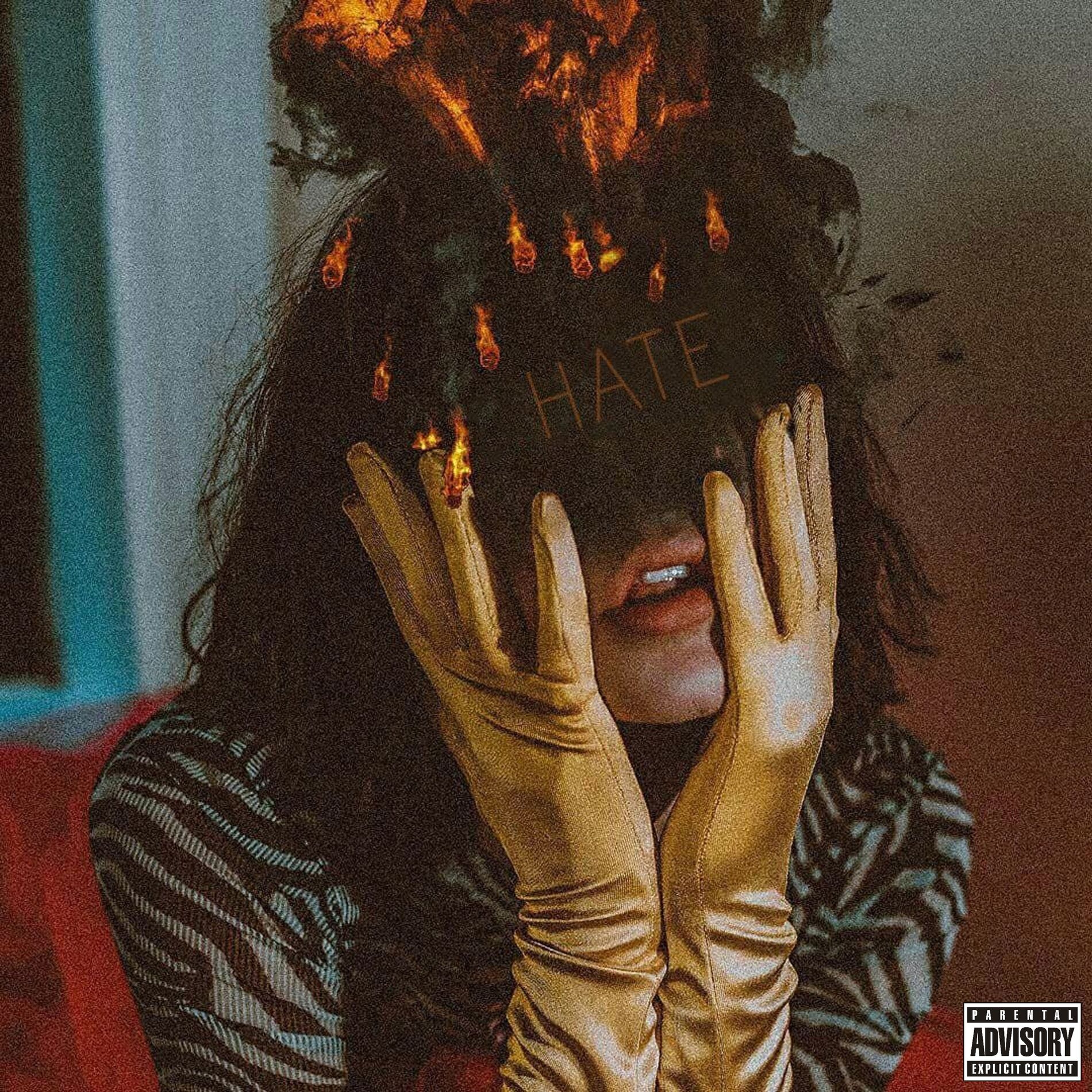 Album cover of Hate