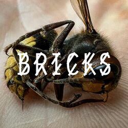 Cover of Bricks