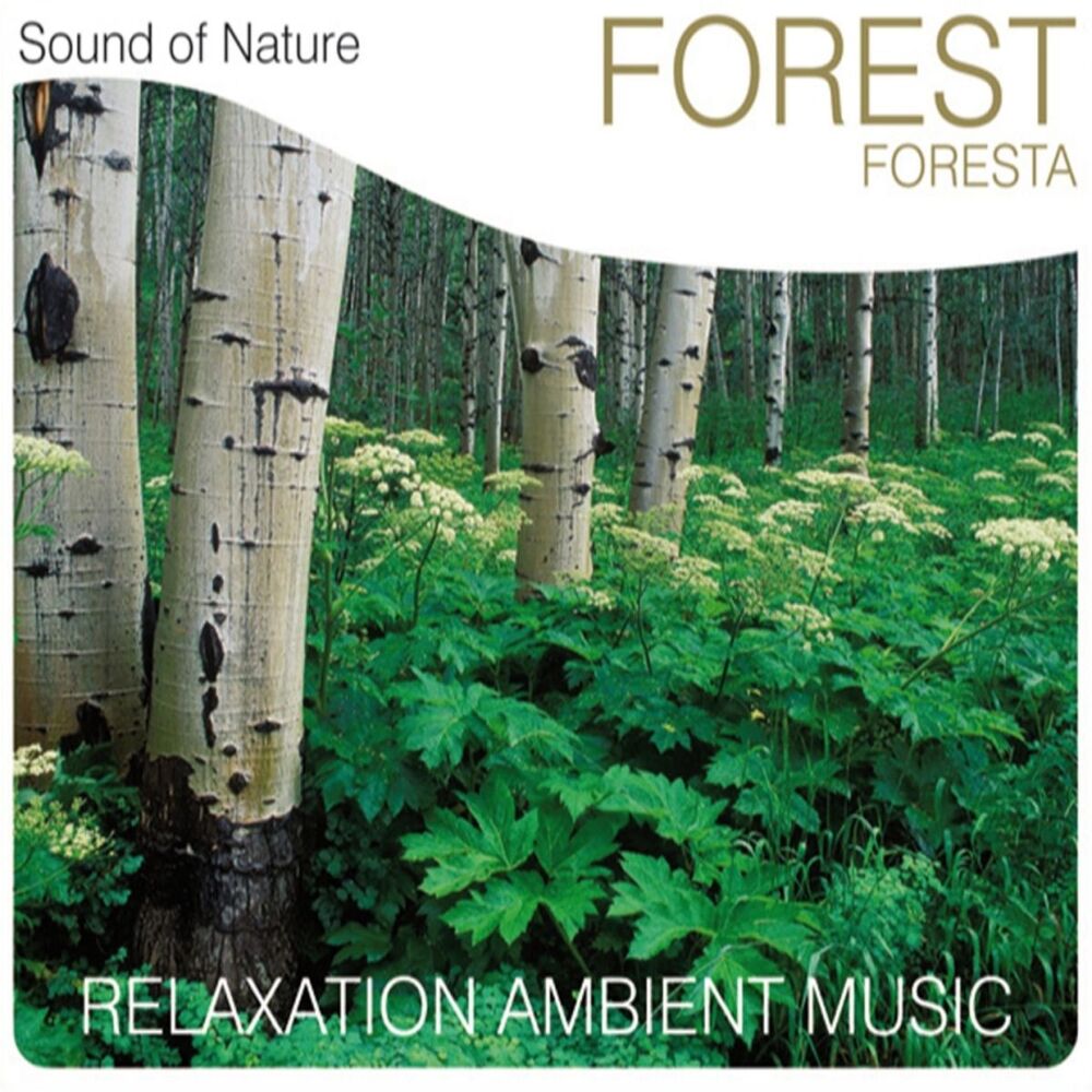 Picture of Forest (Foresta)