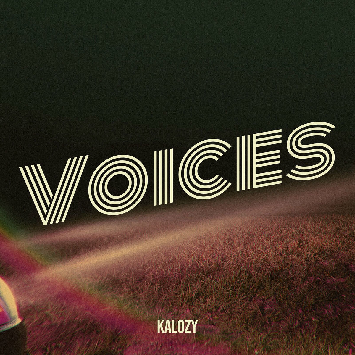 Album cover of Voices
