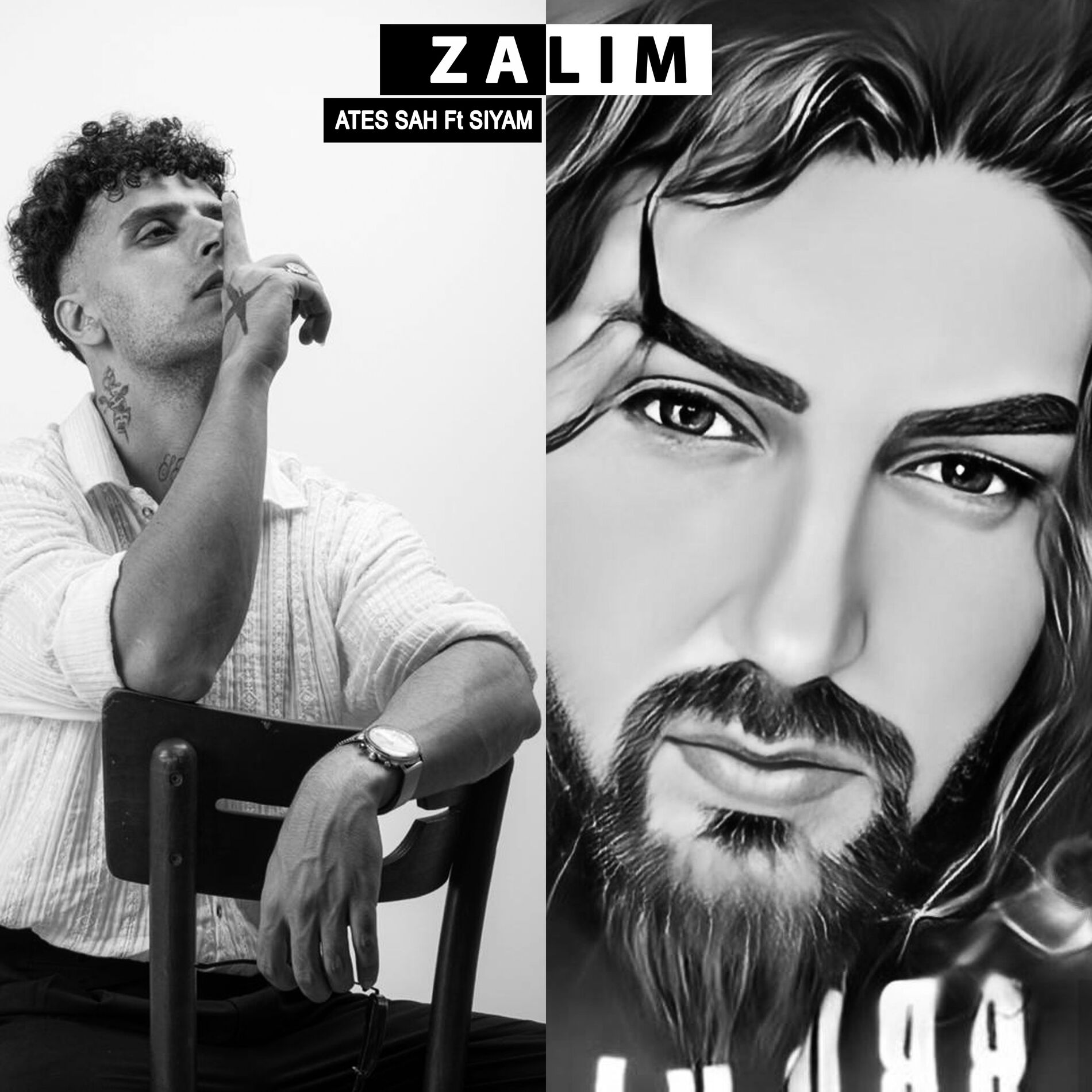 Album cover of Zalım