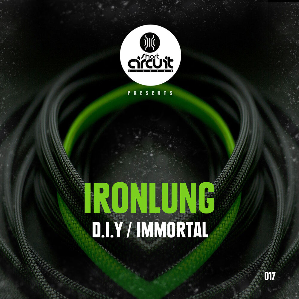 Picture of D.I.Y & Immortal