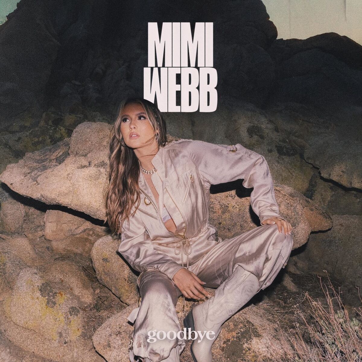 Album cover of Goodbye