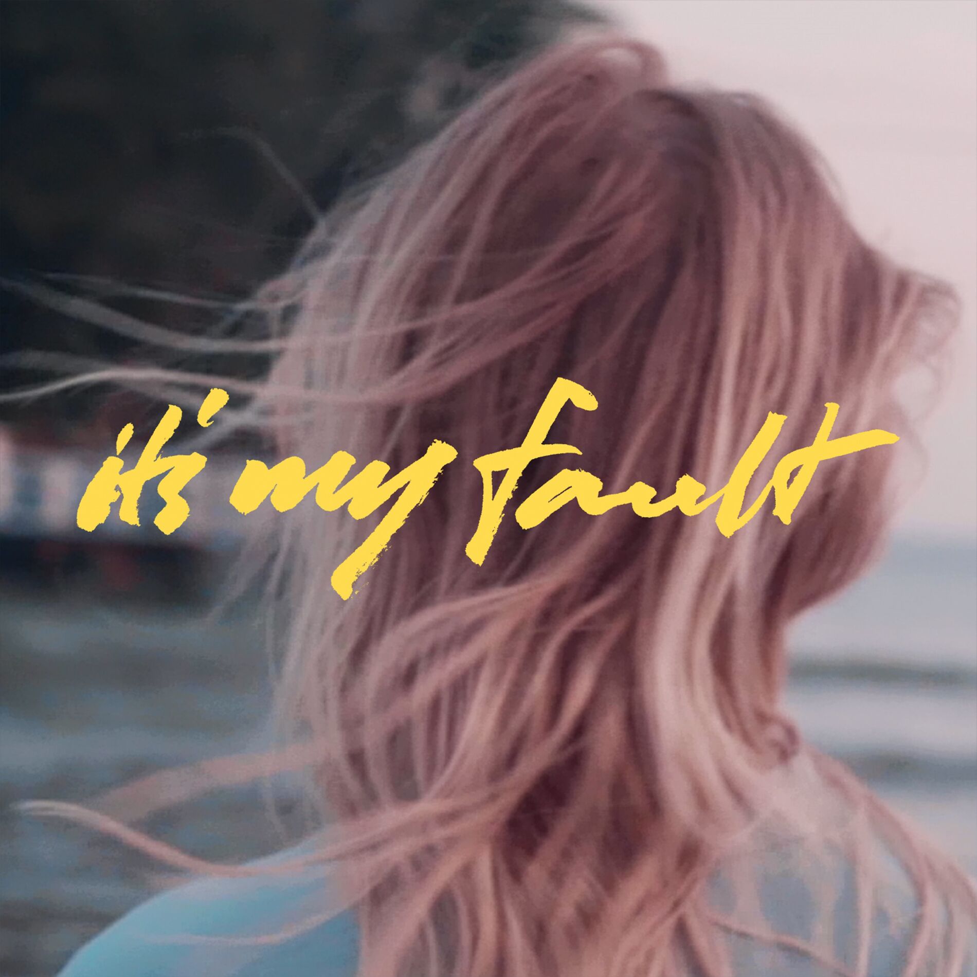 Album cover of It's My Fault