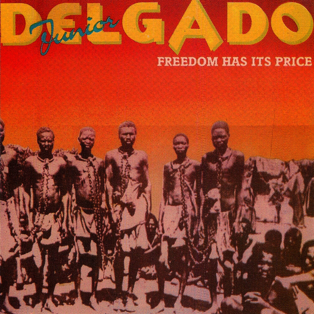 Picture of Freedom Has Its Price