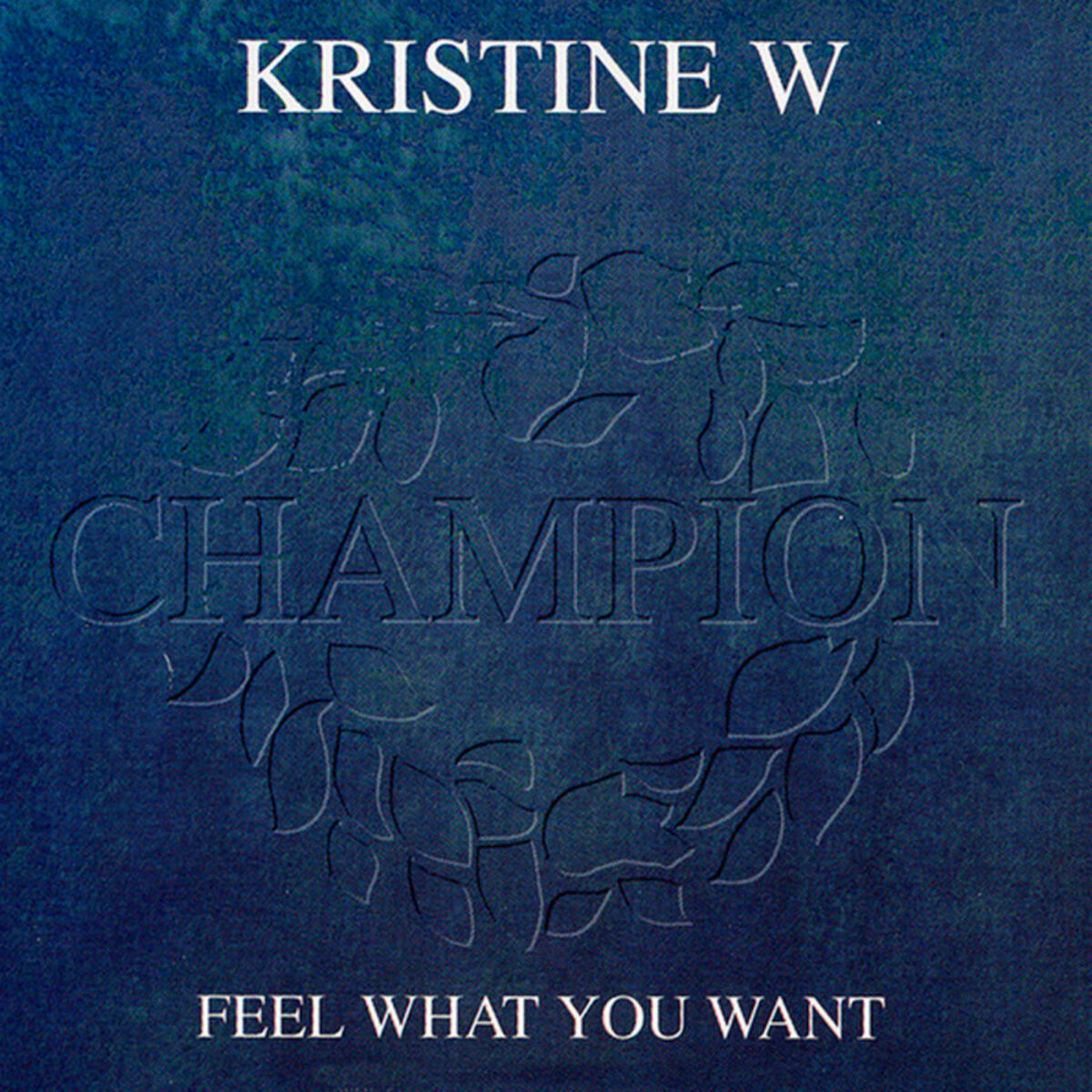 Album cover of Feel What You Want