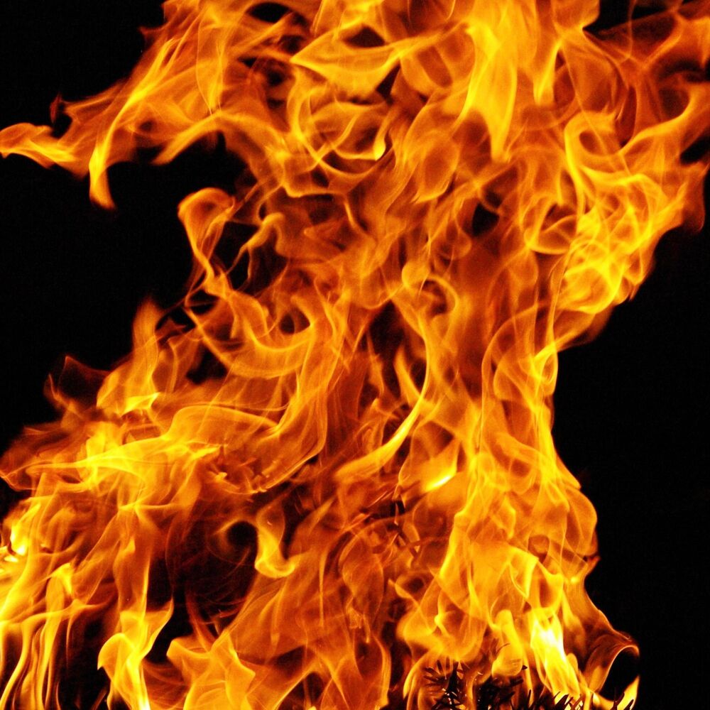 Picture of FUEGO