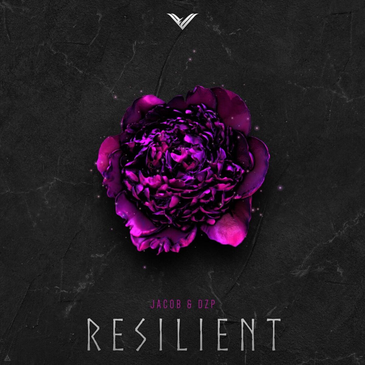 Album cover of Resilient