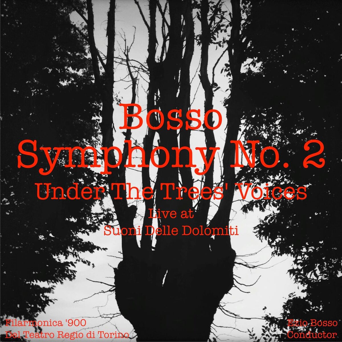 Album cover of Symphony No. 2 