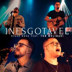 Cover of Inesgotável