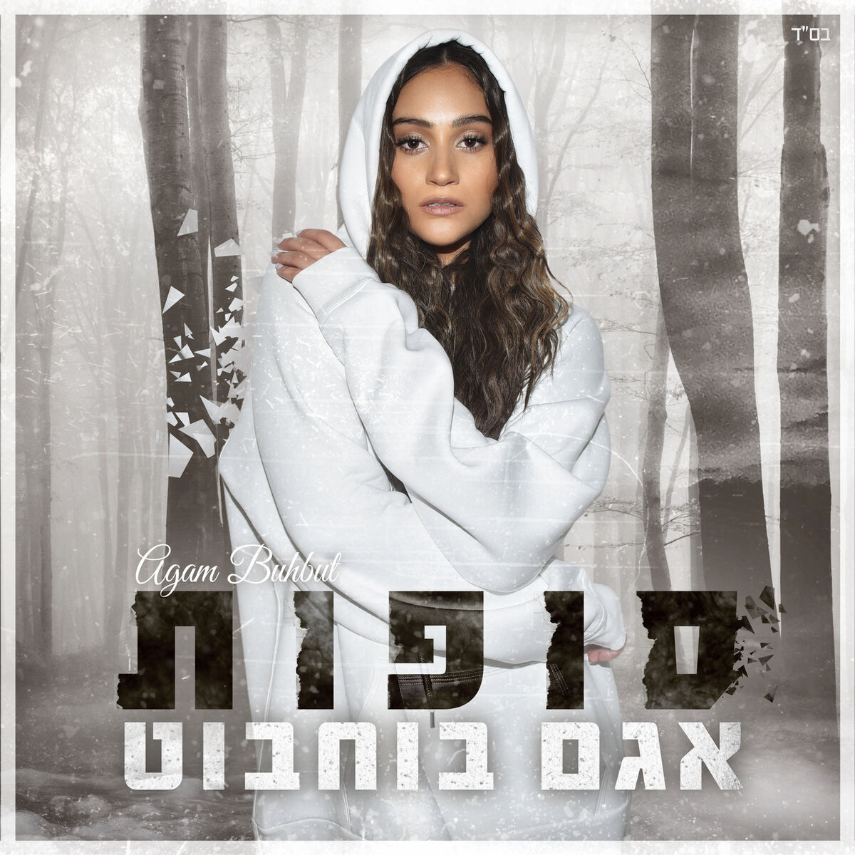 Album cover of סופות