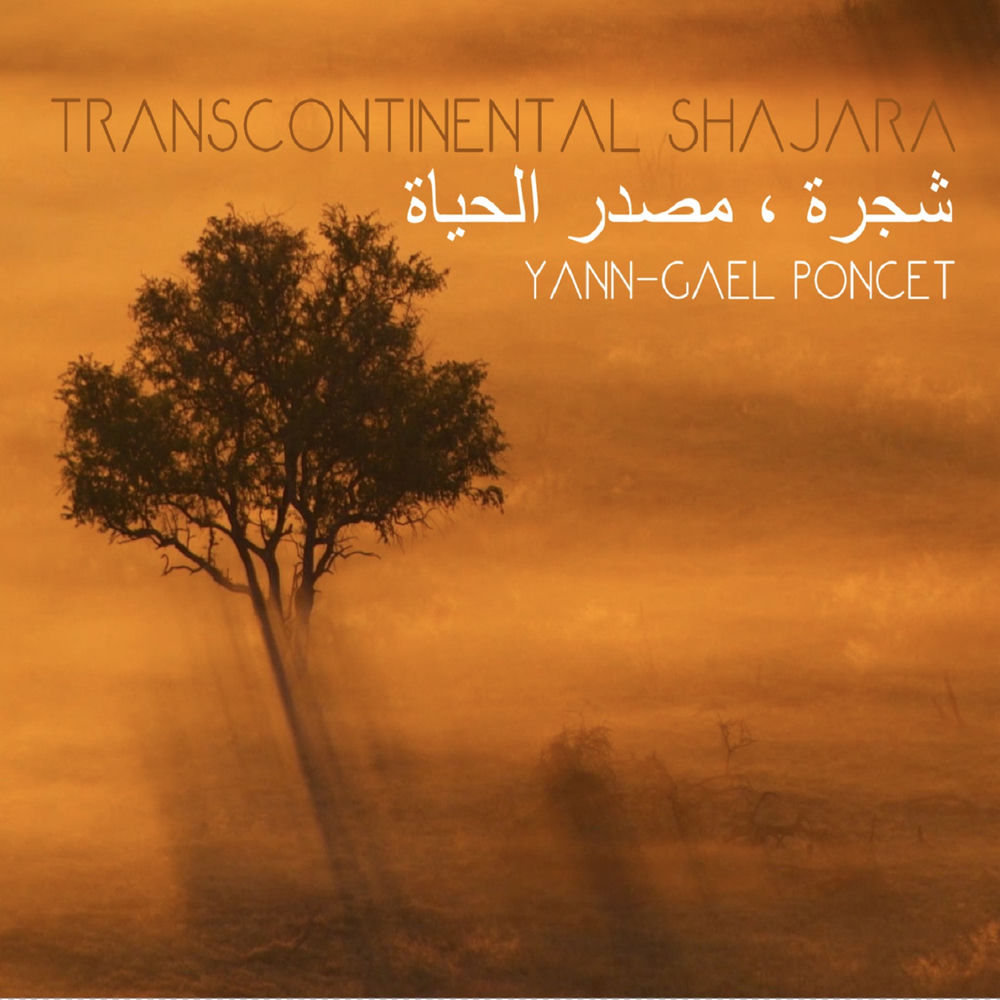 Pochette du titre Habib Errouh