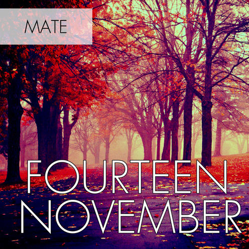 Fourteen November