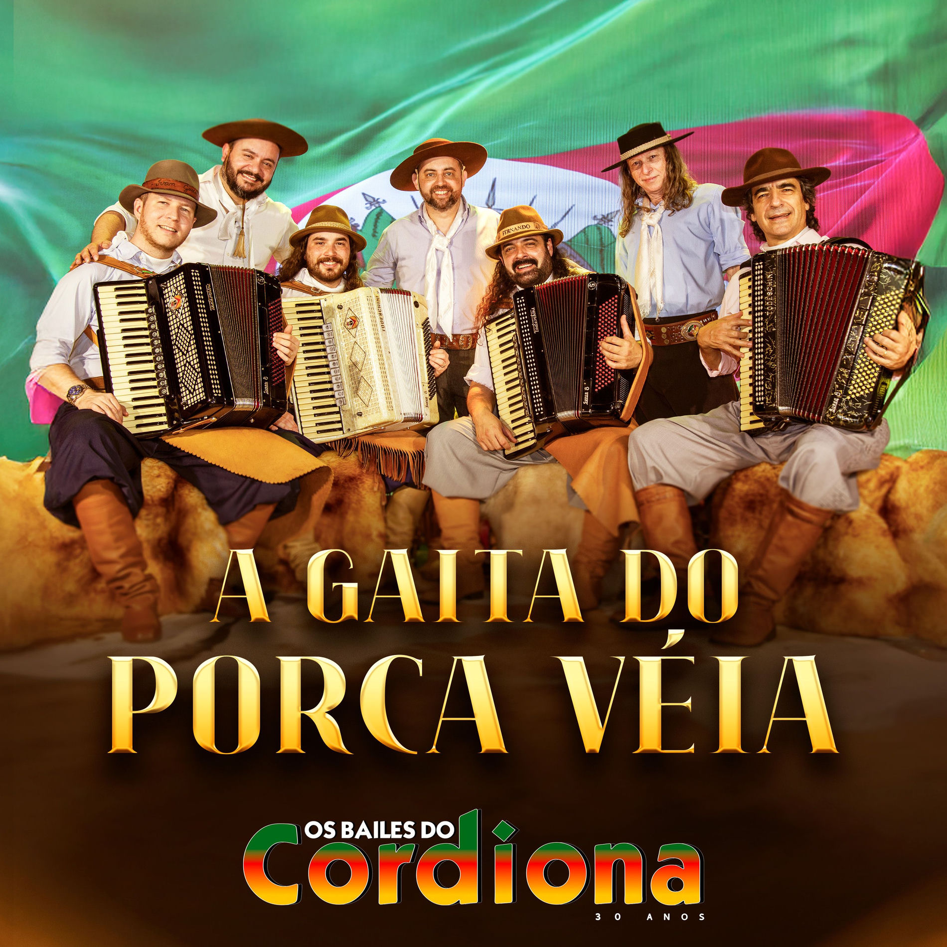 Album cover of A Gaita do Porca Véia