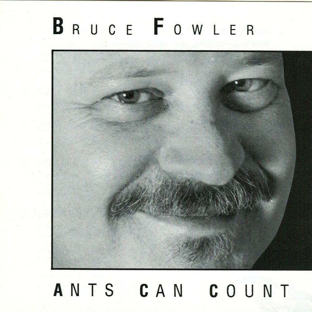 Picture of Ants Can Count