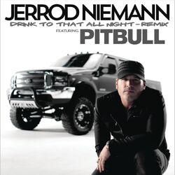Cover of Drink to That All Night (Remix) (feat. Pitbull)