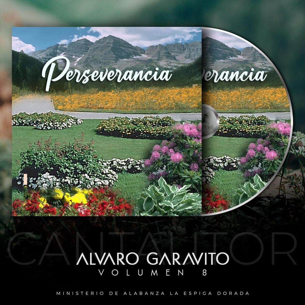 Album cover of Perseverancia