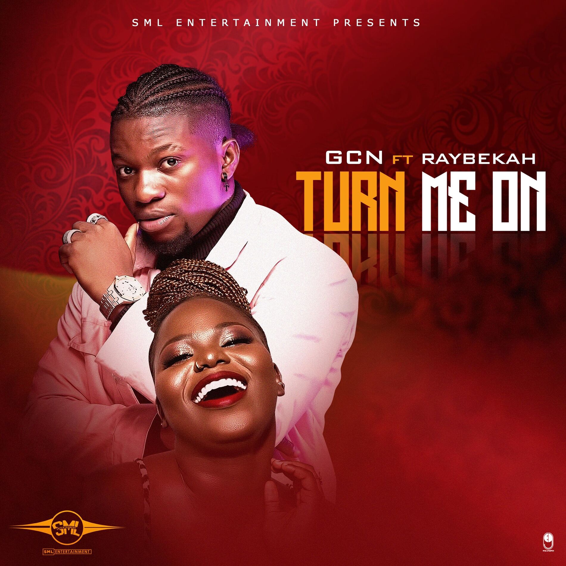 Album cover of Turn Me on (feat. Raybekah)