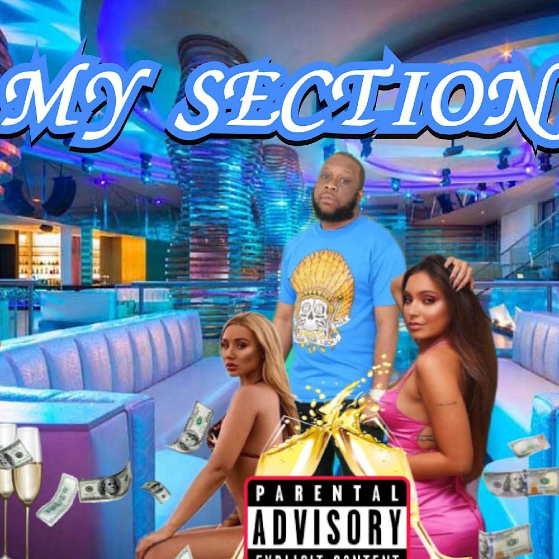 Album cover of MY SECTION
