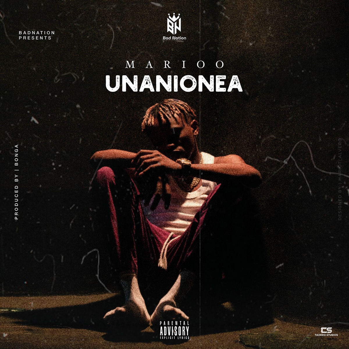 Album cover of Unanionea