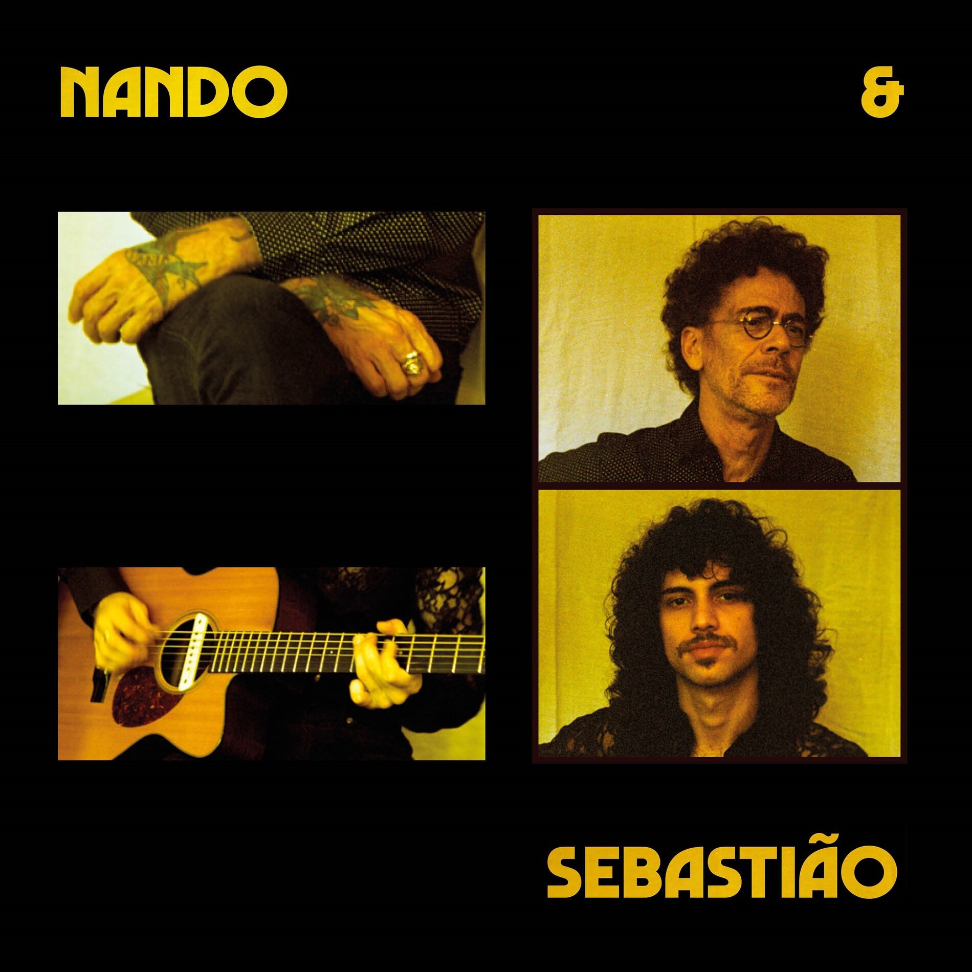 Album cover of Nando e Sebastião