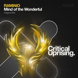 Cover of Mind of The Wonderful