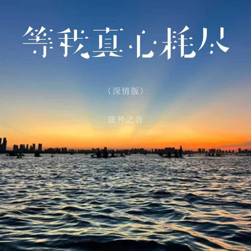 等我真心耗尽 (深情版)