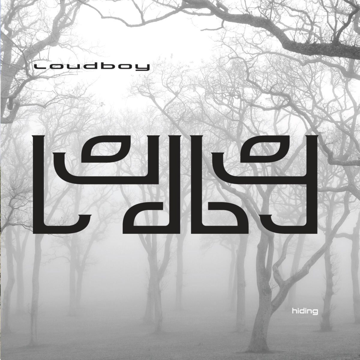 Album cover of Hiding