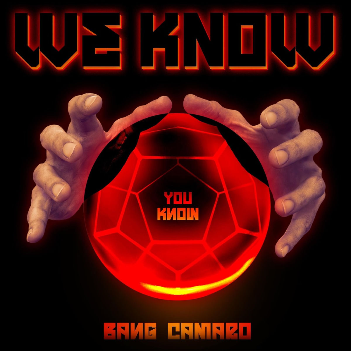 Album cover of We Know You Know
