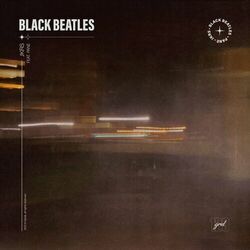 Cover of Black Beatles