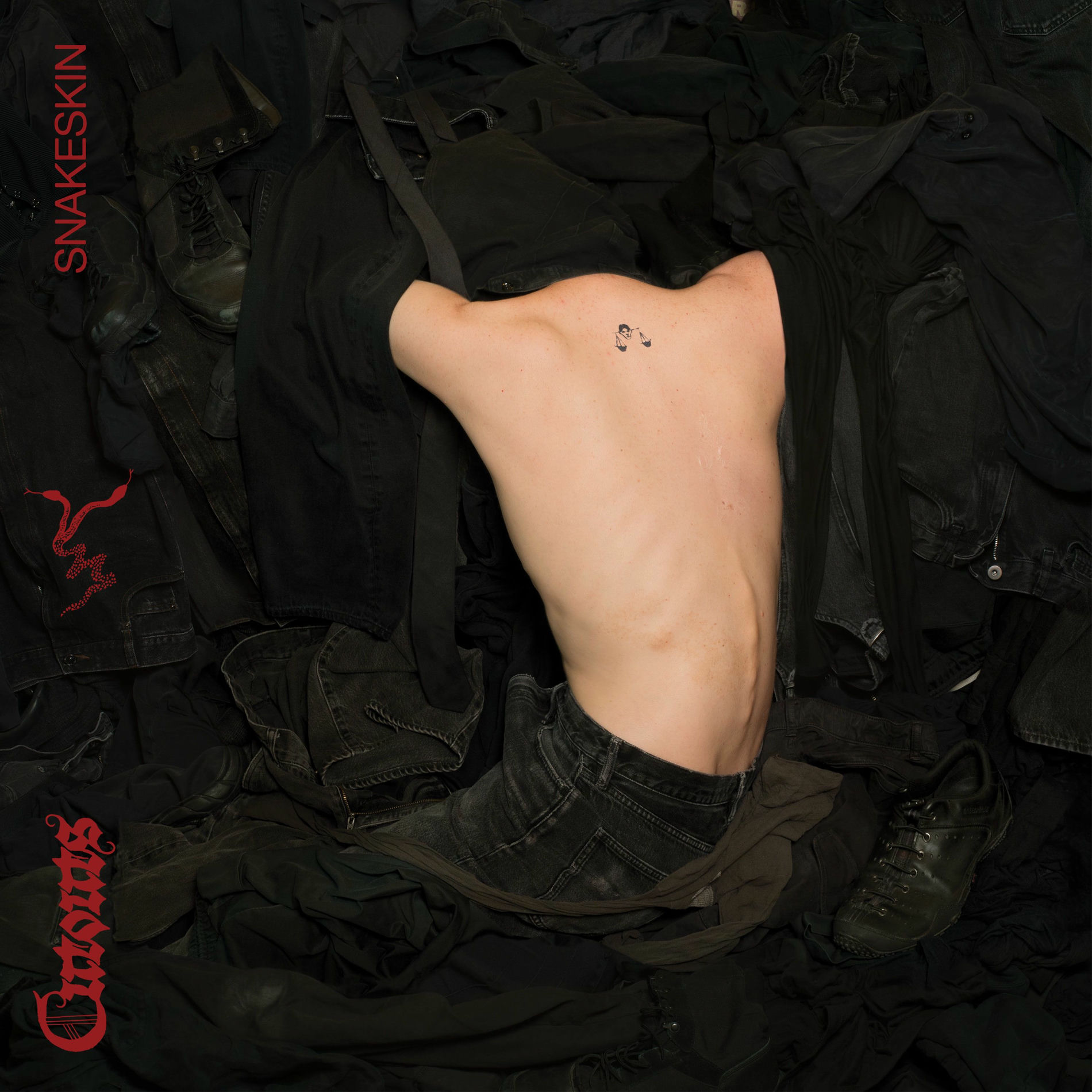 Album cover of Narc